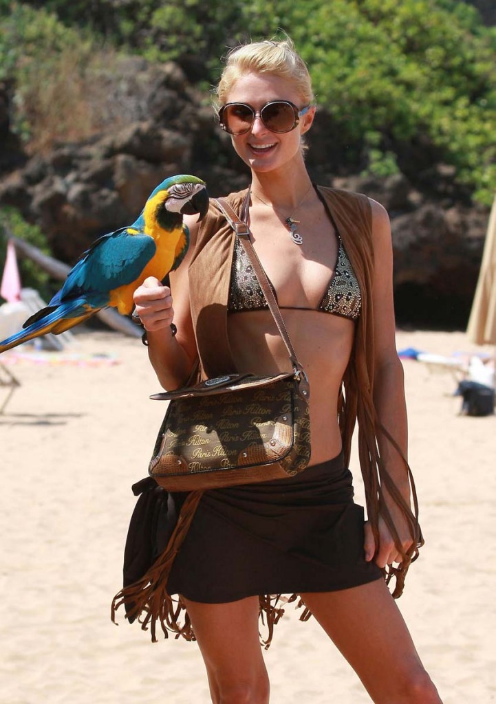 Paris Hilton Bikini Paris Hilton Bikini
