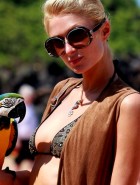 Paris Hilton Bird