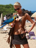 Paris Hilton Public