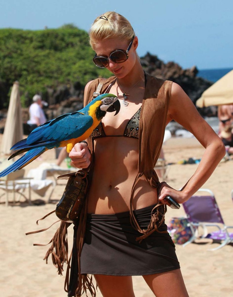 Paris Hilton Public