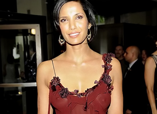 Padma Lakshmi nipple slip