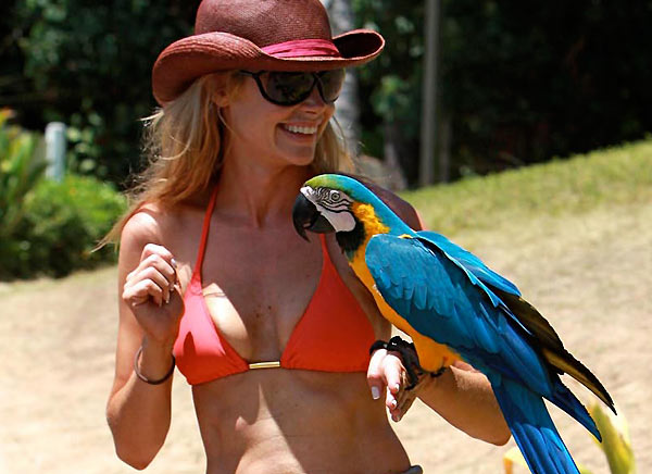 Denise Richards bikini
