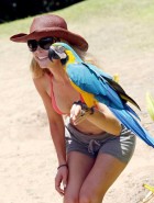 Denise Richards bird