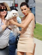 Eva Longoria puppy Eva Longoria puppy