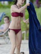 Rachel Bilson hot bikini