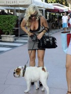 CoCo dog walking