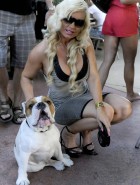 CoCo dog walking