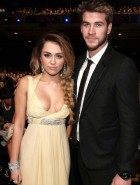 Miley Cyrus CNN heroes