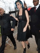 Katy Perry see through
