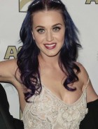 Lame ass nigga Katy perry boob falls out