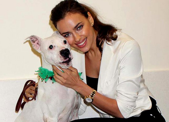 Irina Shayk puppies