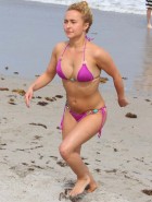 Hayden Panettiere bikini