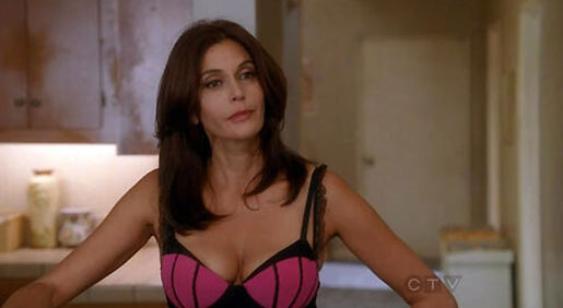 Teri Hatcher Nude and Sexy Pics and Porn Video and Hot Scenes image