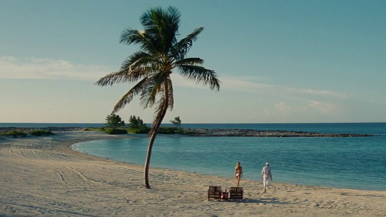 Wide shot of the beach and palm tree in the final scene of The Other Woman (2014)